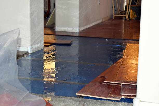 Professional Basement Water Removal technician working in Douglas, MI